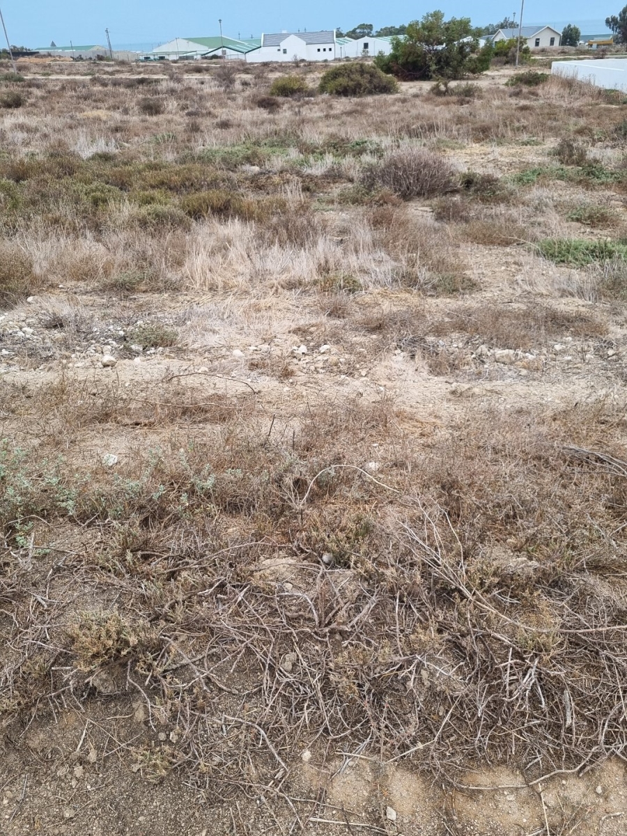 2 Bedroom Property for Sale in St Helena Views Western Cape